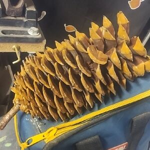 #042 Set 1 Decorative Huge Pine Cone Great For Holiday Decor Set Of 2